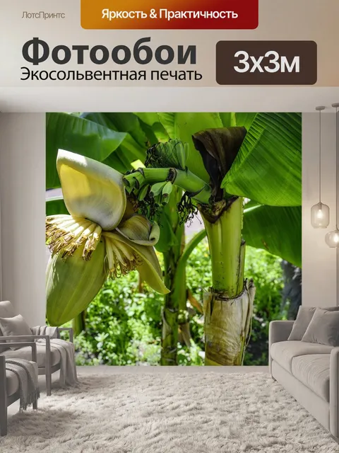 Фотообои Волокна банана