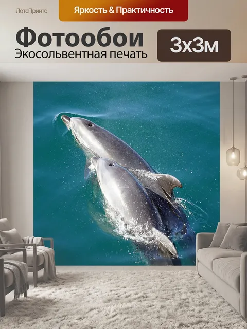 Фотообои Дельфины