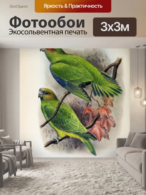 Фотообои Птица винтаж искусство старый