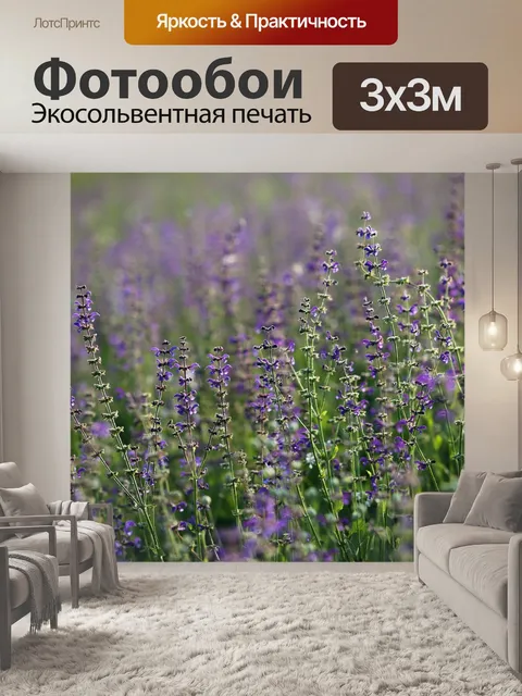 Фотообои Луговой шалфей