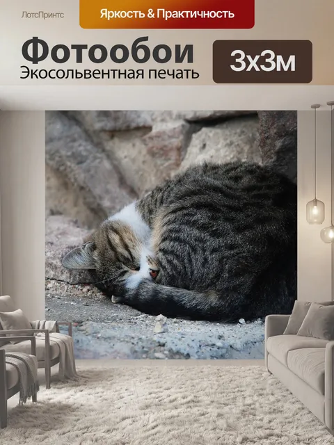 Фотообои Кошка