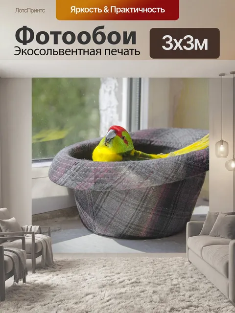 Фотообои Попугай