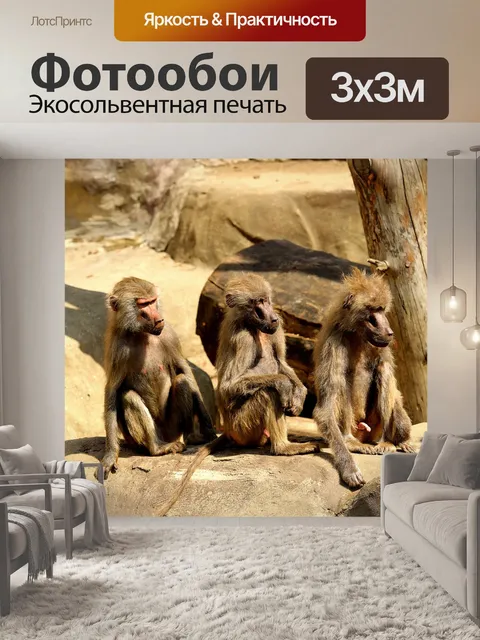Фотообои Лес обезьян