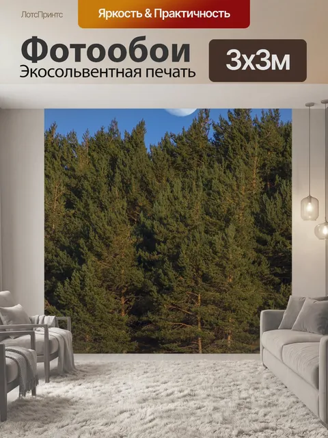 Фотообои Луна