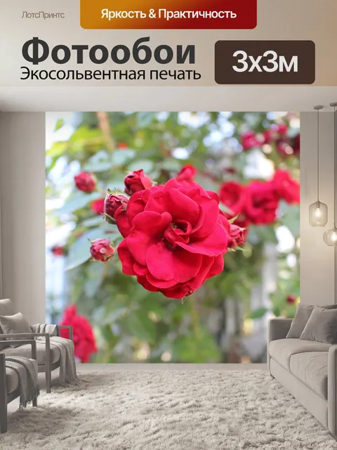 Фотообои Роза