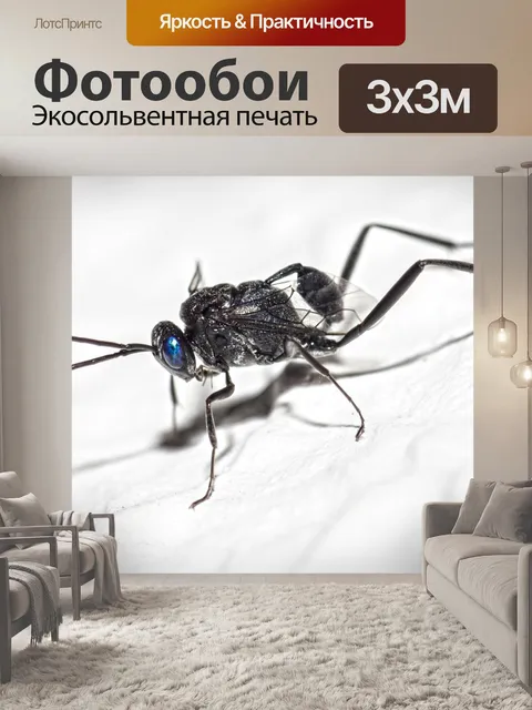 Фотообои Синий