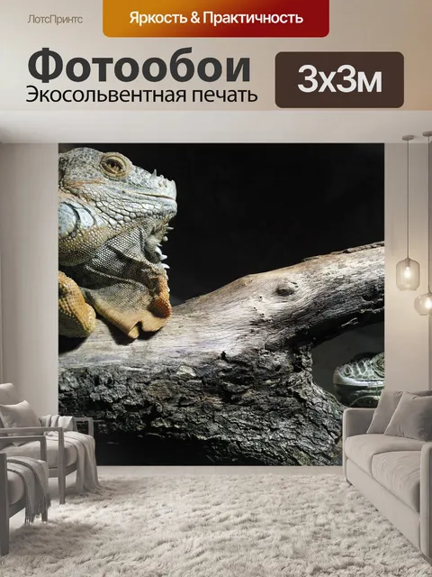 Фотообои Ящерица