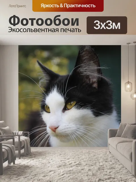 Фотообои Кошка