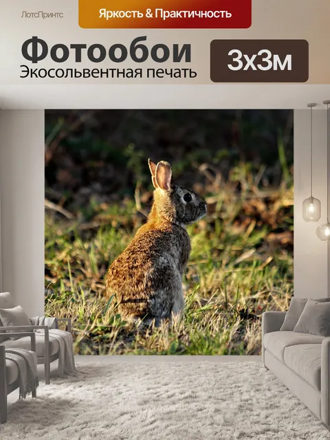 Фотообои Кролик-кролик на закате