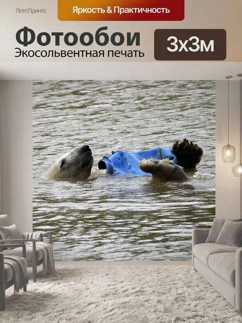 Фотообои Полярный медведь