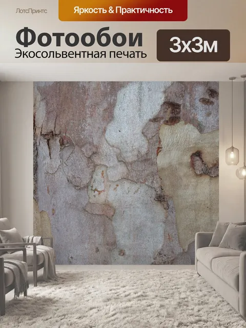 Фотообои Эвкалипт фоне