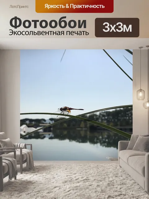 Фотообои Насекомое