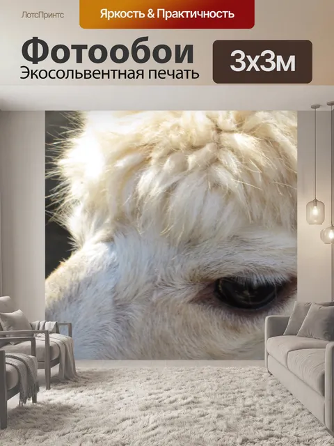 Фотообои Альпака крупным планом