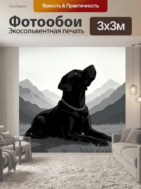 Фотообои Черный лабрадор в горах