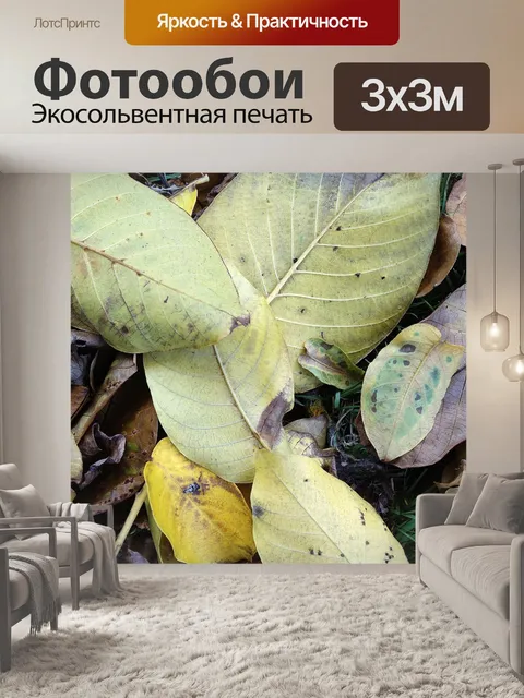 Фотообои Листья