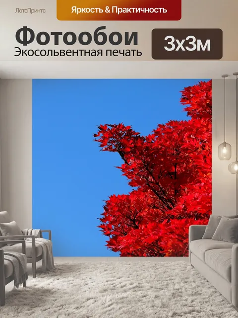 Фотообои Клен