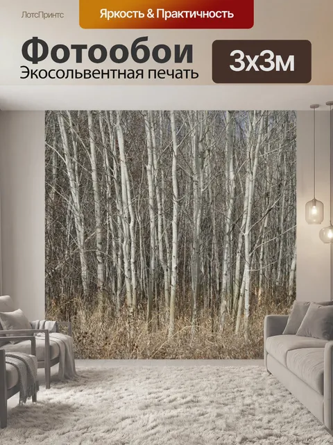 Фотообои Березы лес
