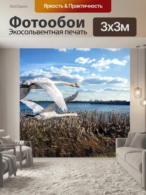 Фотообои Птицы
