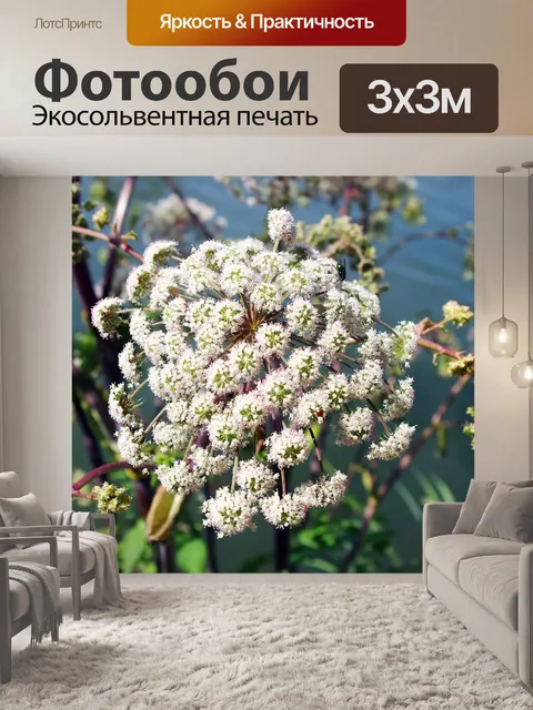 Фотообои Ангельский