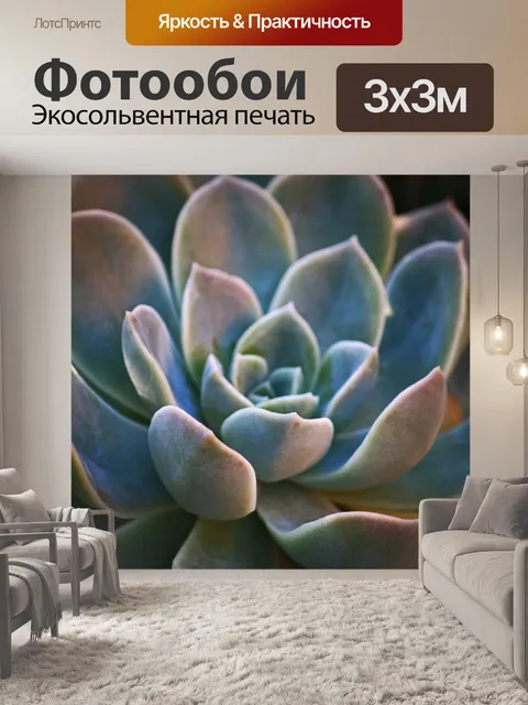Фотообои чашевидные наружные листья пустынной роз
