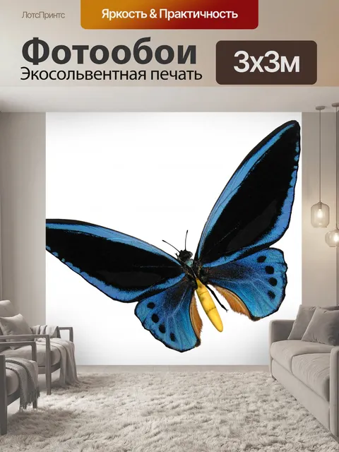 Фотообои Birdwing Голубая бабочка