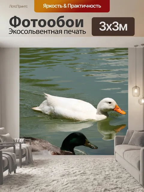 Фотообои белая утка на пруду