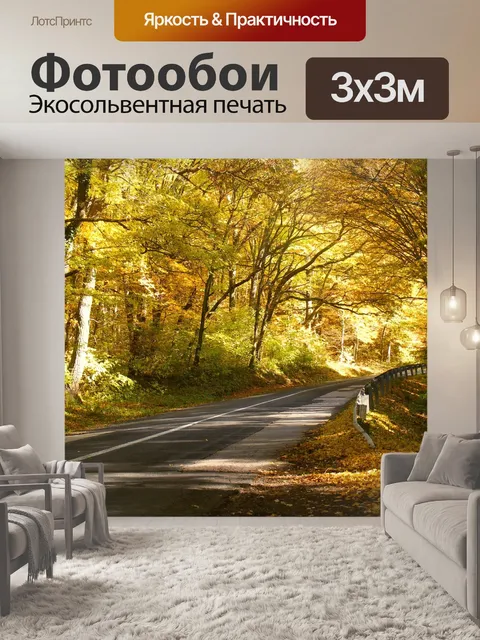 Фотообои Дорога