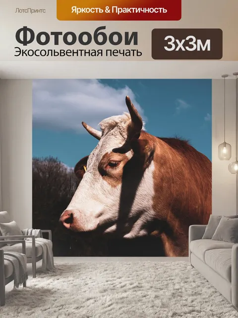 Фотообои Корова