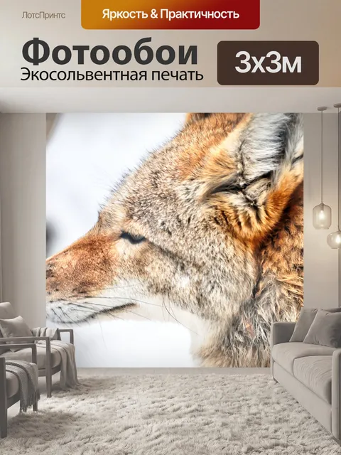 Фотообои Зимний волк