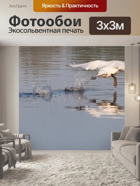 Фотообои Лебедь взлететь