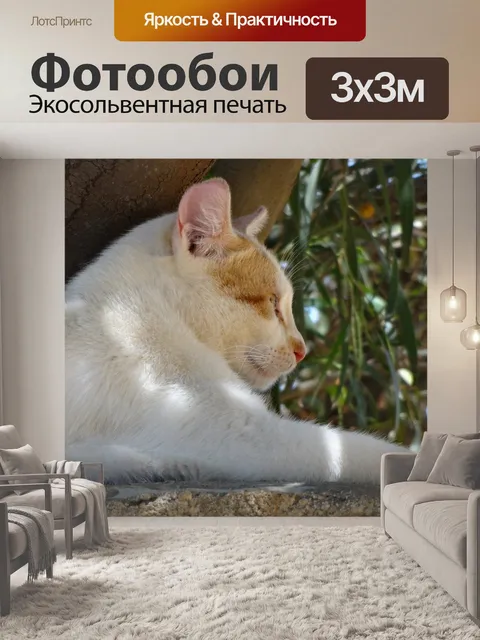 Фотообои Кошка