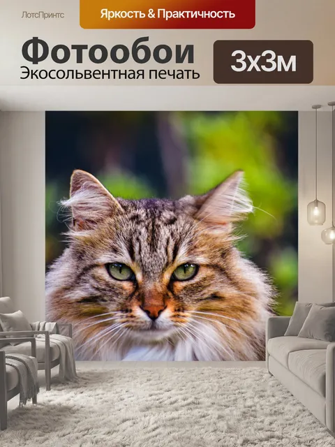 Фотообои Feline