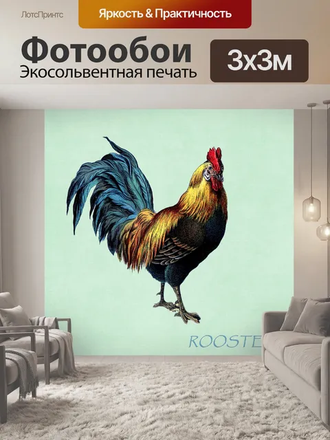 Фотообои Иллюстрация петуха