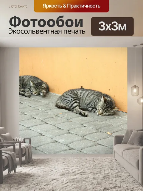 Фотообои Кошки