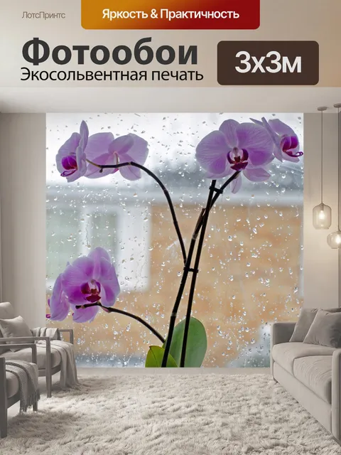 Фотообои Орхидея