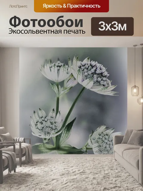 Фотообои Цветы