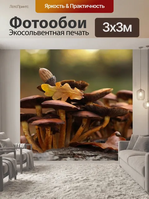 Фотообои Грибы дубовые листья осенняя фотография