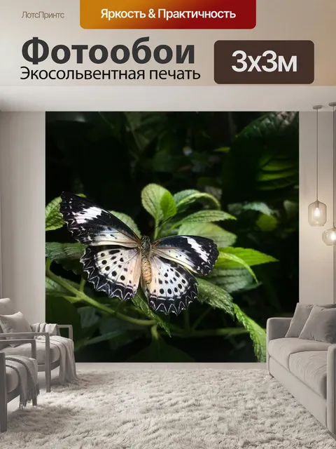 Фотообои Бабочка