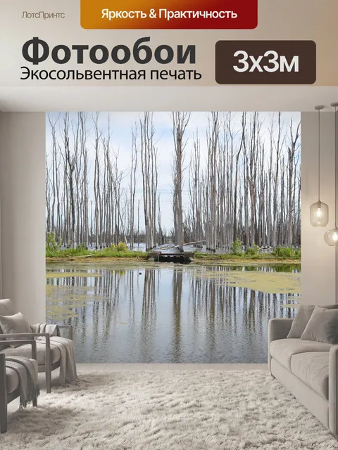Фотообои Отражение