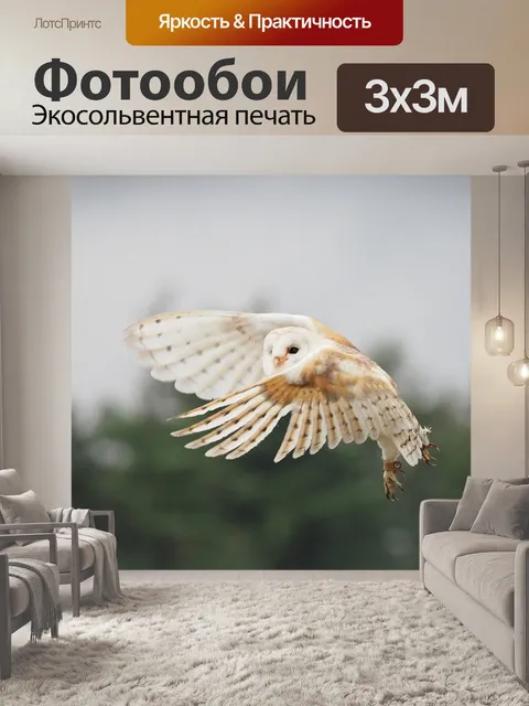 Фотообои Птица