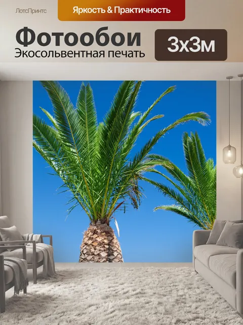 Фотообои пальмовые деревья