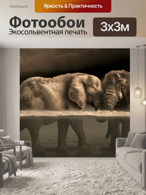 Фотообои Слоны