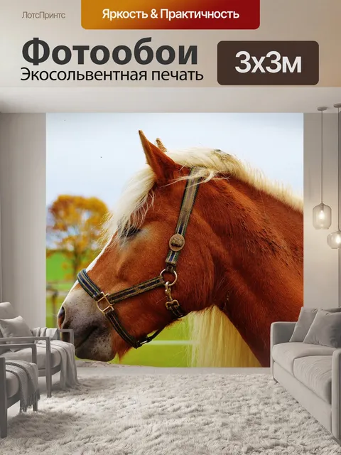 Фотообои Лошадь