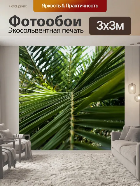 Фотообои Пальмовые листья