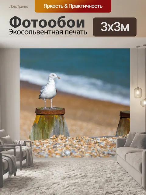 Фотообои Чайка на пляже