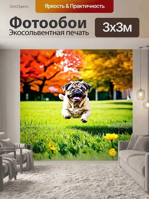 Фотообои мопс с взъерошенной шерстью, смеясь, прыгает на свежескошенной траве, оставляя за собой едва уловимый след