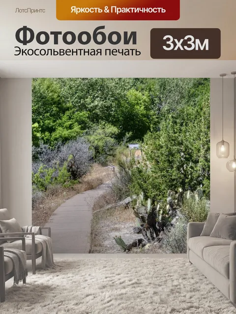 Фотообои Путь через пустыню