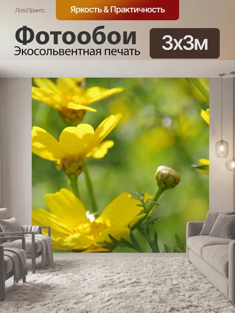 Фотообои Желтое поле ромашки