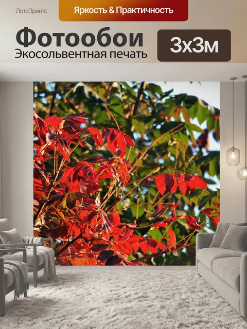 Фотообои Мыс ясеневые листья