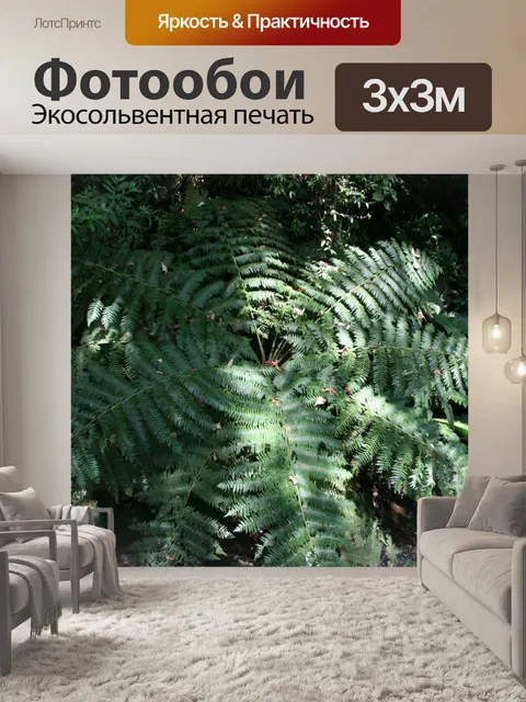 Фотообои Коста-Рика Папоротник